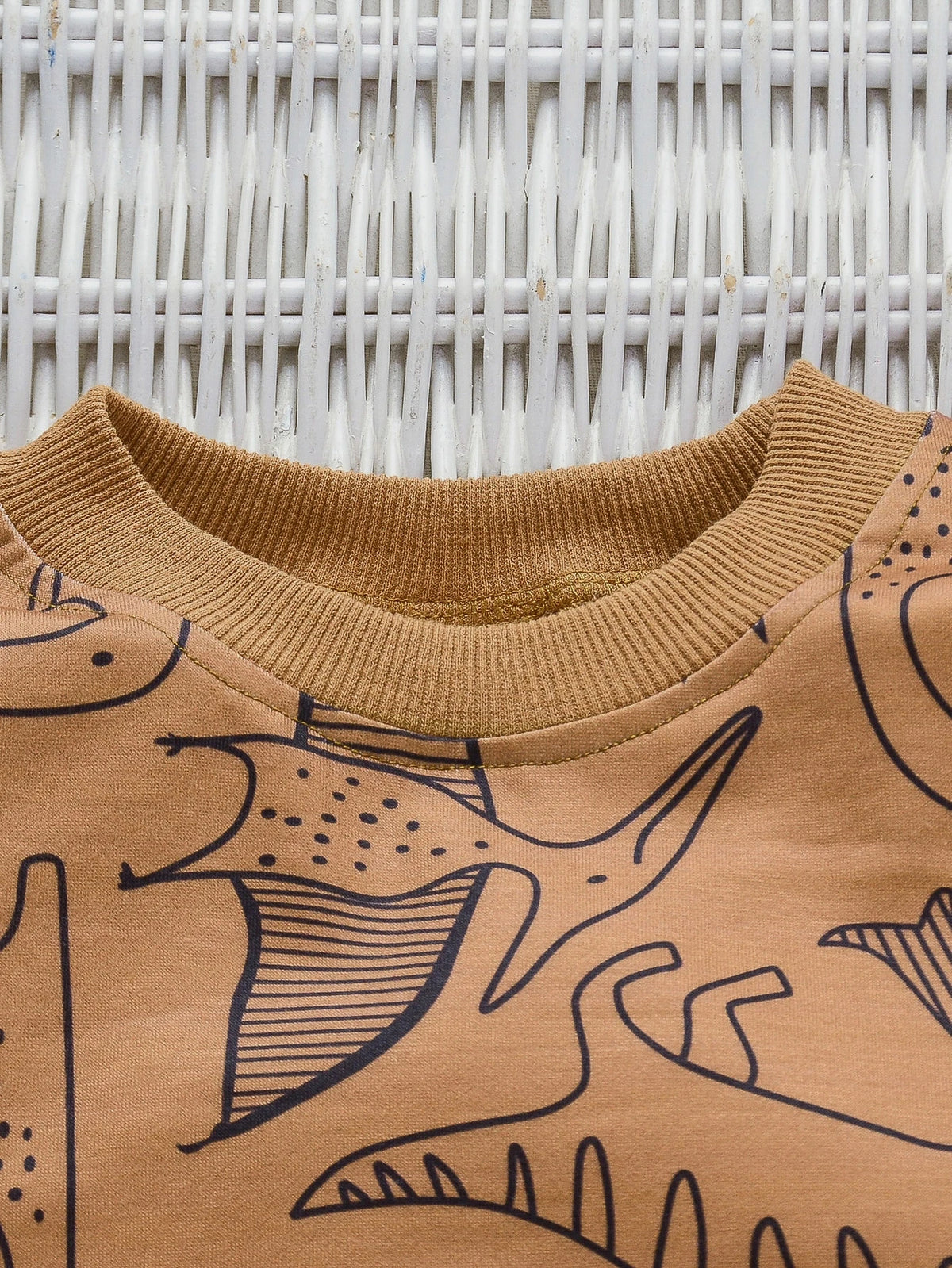 Brown Dinosaur Printed Kids Winter Suit