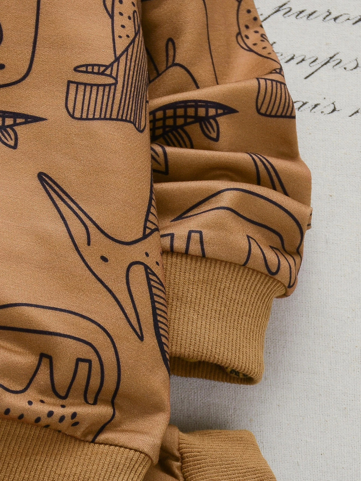 Brown Dinosaur Printed Kids Winter Suit