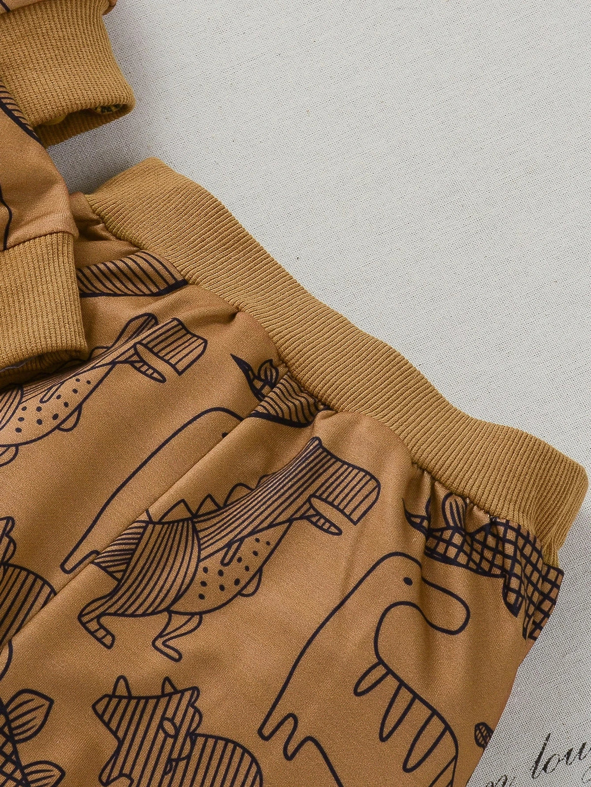 Brown Dinosaur Printed Kids Winter Suit