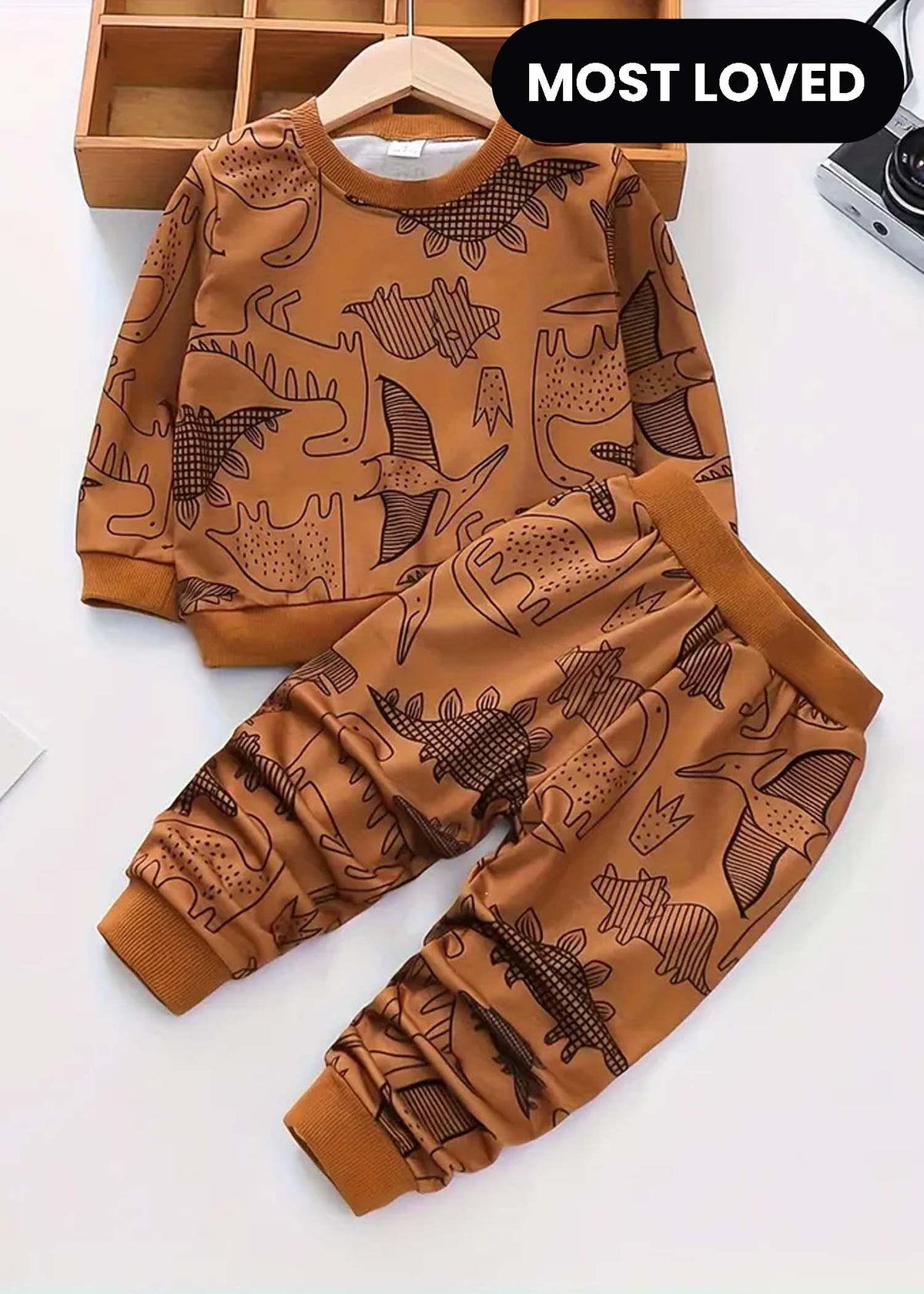 Brown Dinosaur Printed Kids Winter Suit